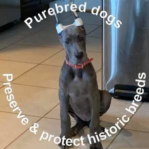 Meet your Posher, Janette